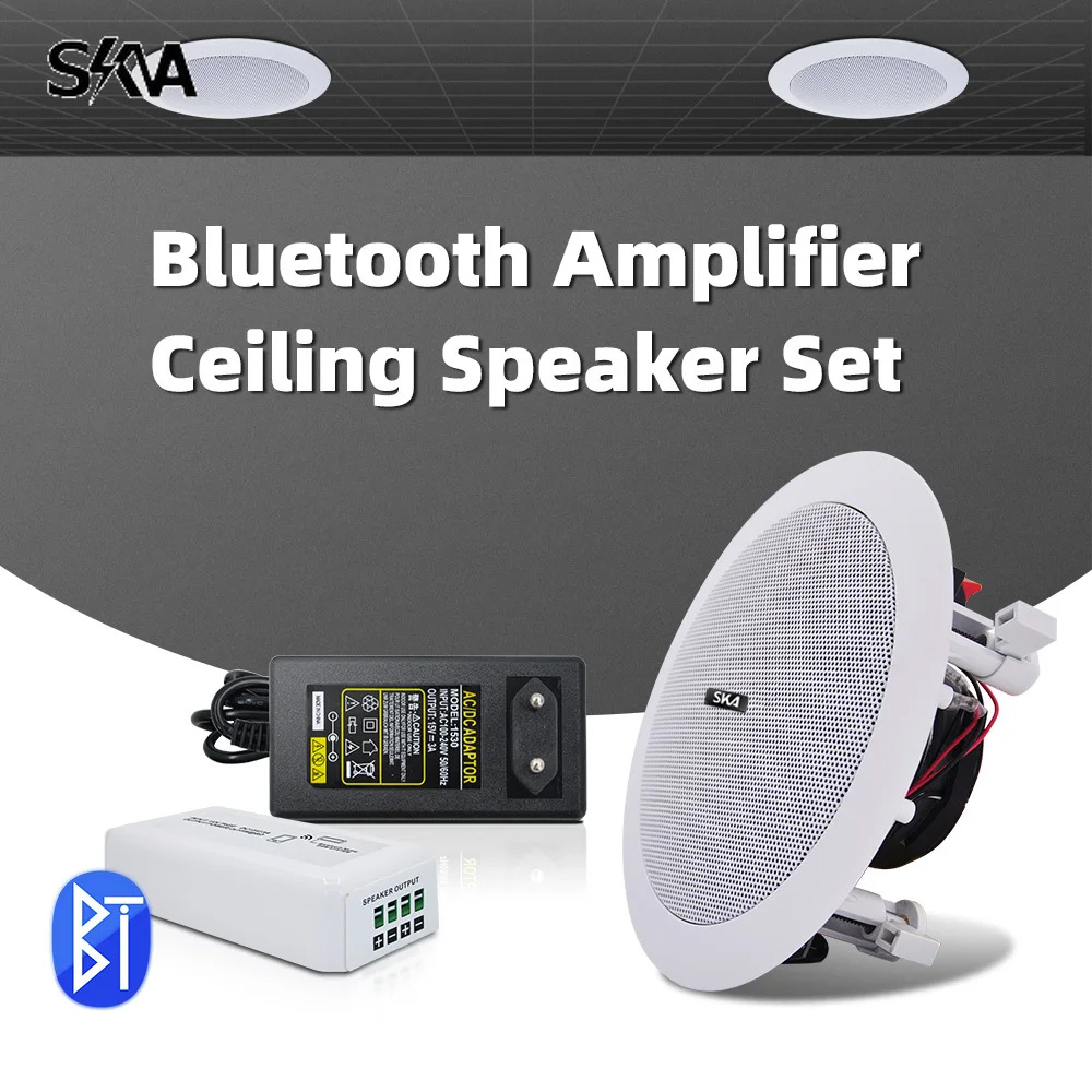 Portable Amplifier Mini - 블루투스 앰프 휴대용 미니 앰프 및
