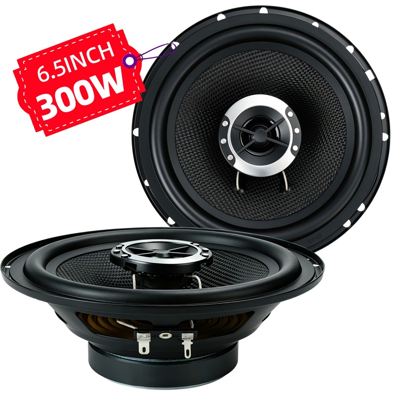 2개 6.5인치 동축 스피커 300W 4옴 HIFI 범 - Audio Universal Music 리뷰 및 가격